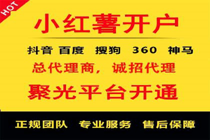 信息流广告投放公司案例深度剖析